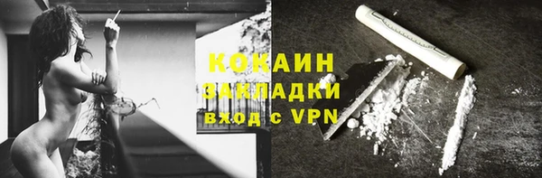 шишки Среднеуральск